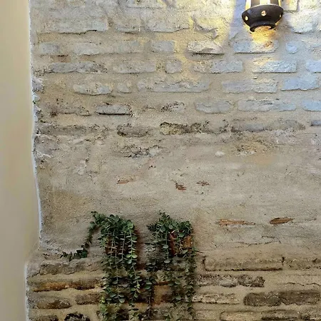 Arena Centro Rooms&suites, By Homing U 4*